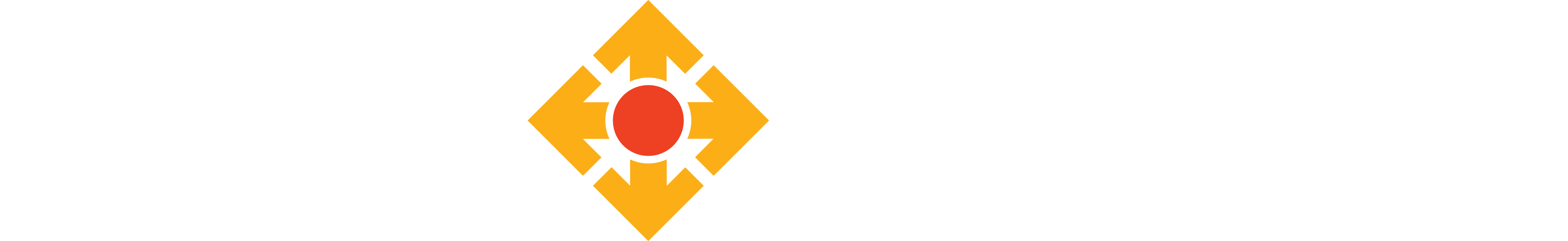 netvigator logo